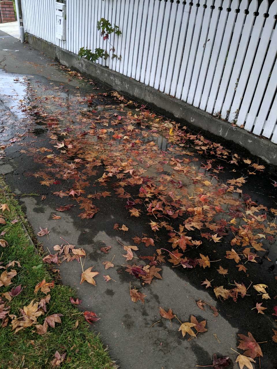 The photograph attached to this water supply report