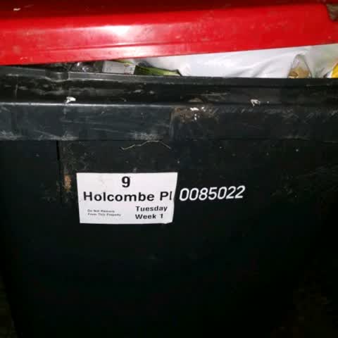 Rubbish/Recycling, a report photo
