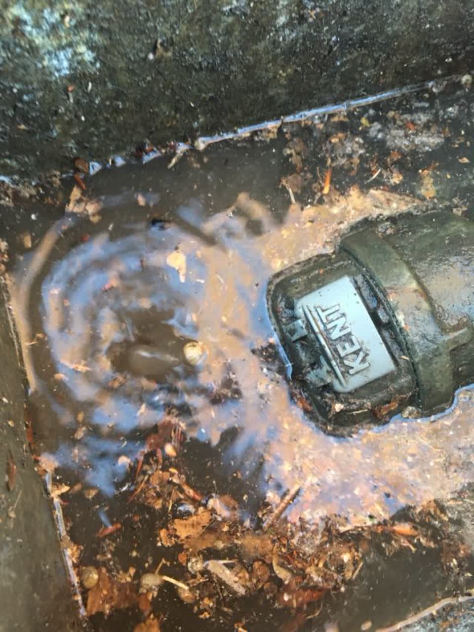 The photograph attached to this flooding report