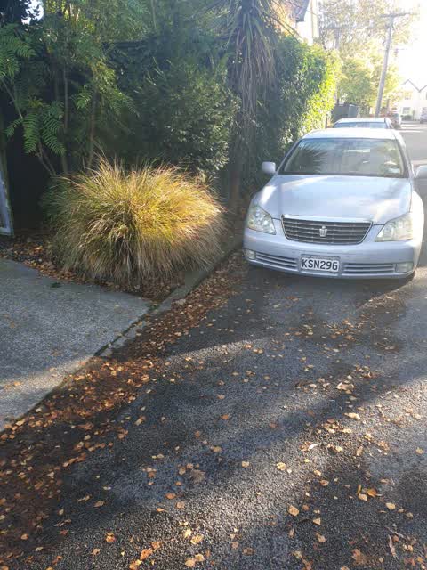 Roading/Streets, a report photo