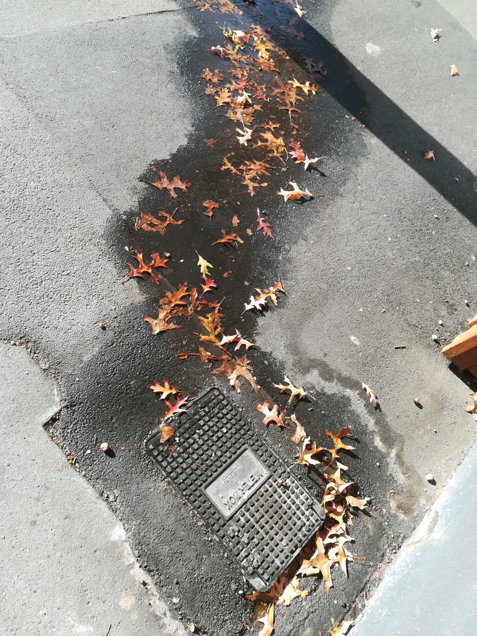 The photograph attached to this water supply report