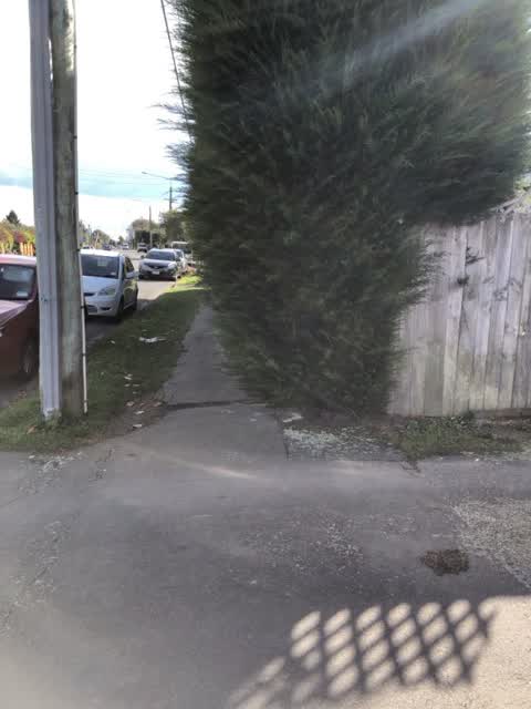Roading/Streets, a report photo