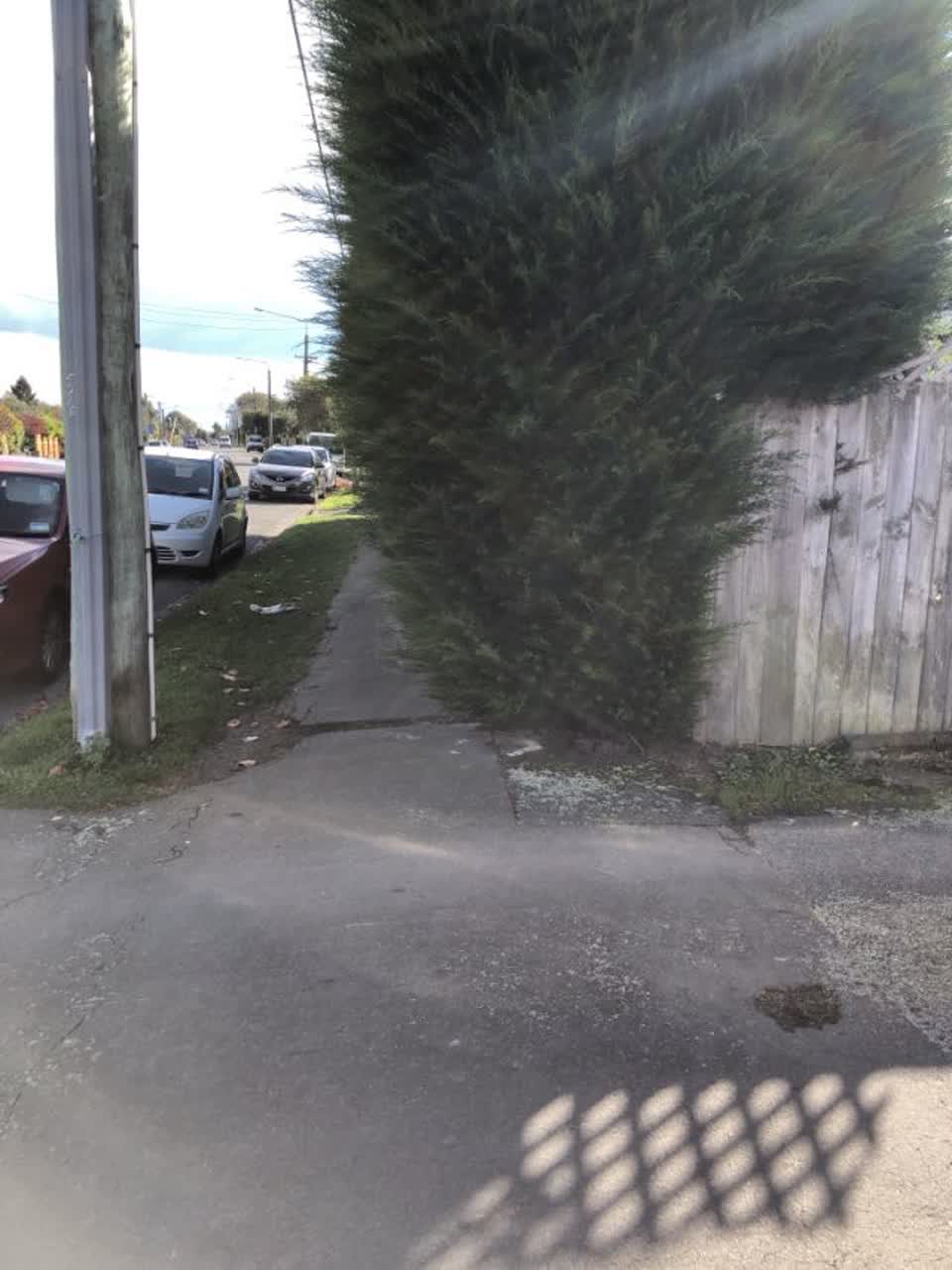 The photograph attached to this roading/streets report