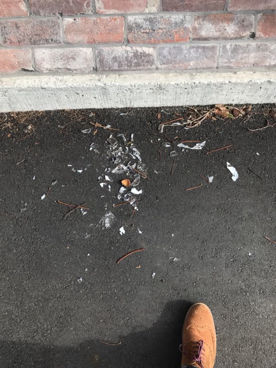 The photograph attached to this rubbish/recycling report