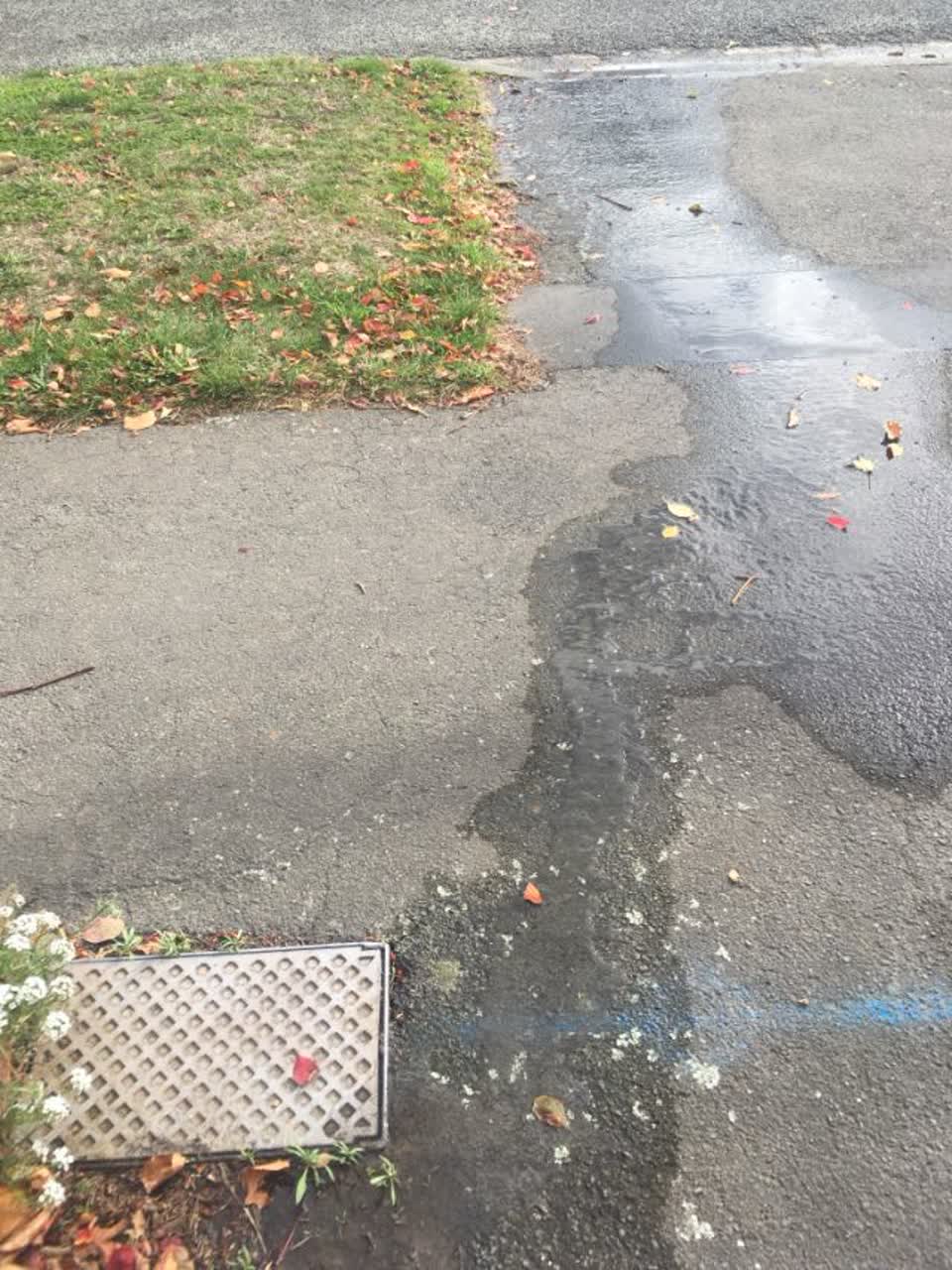 The photograph attached to this water supply report