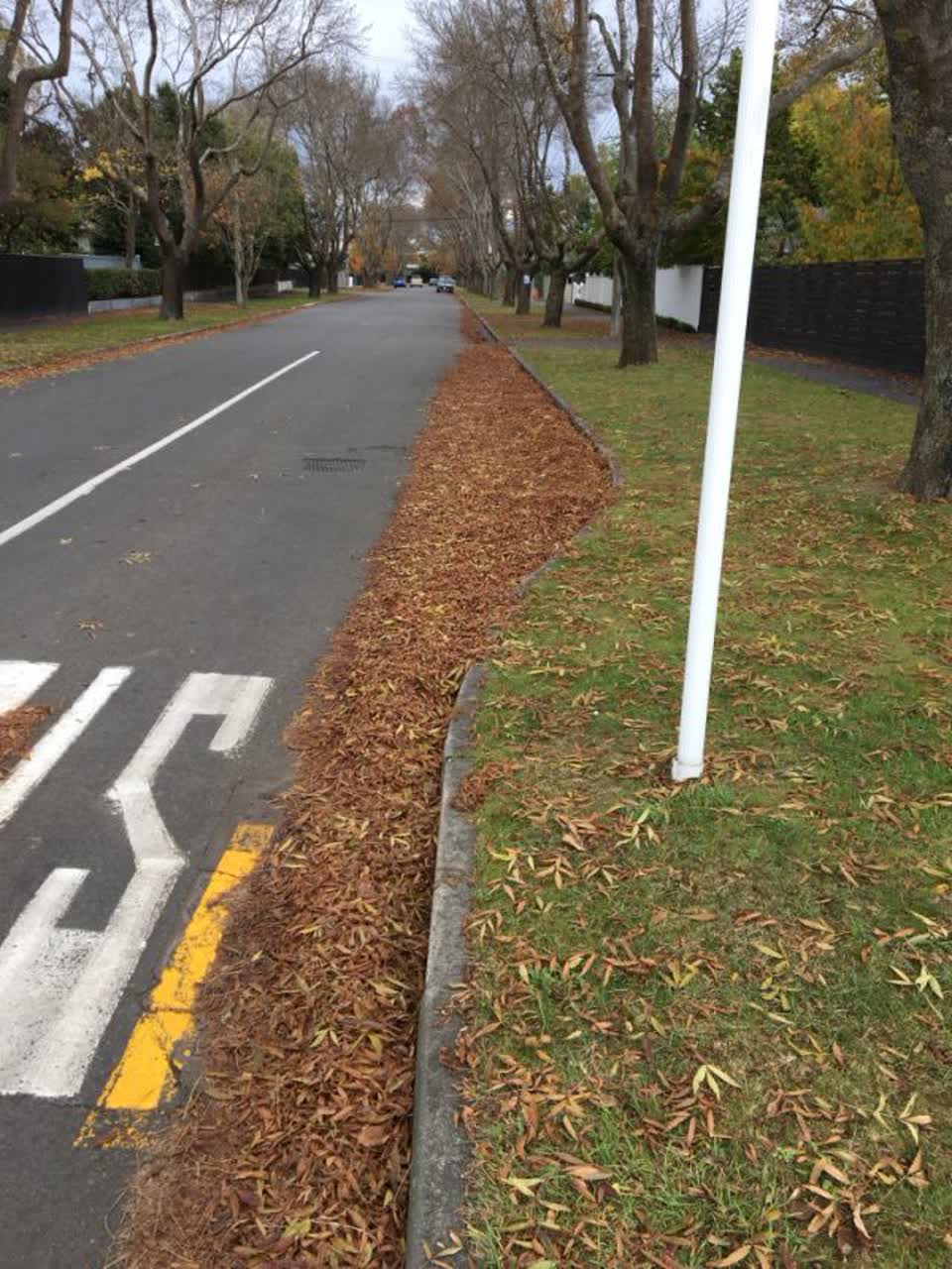 The photograph attached to this roading/streets report