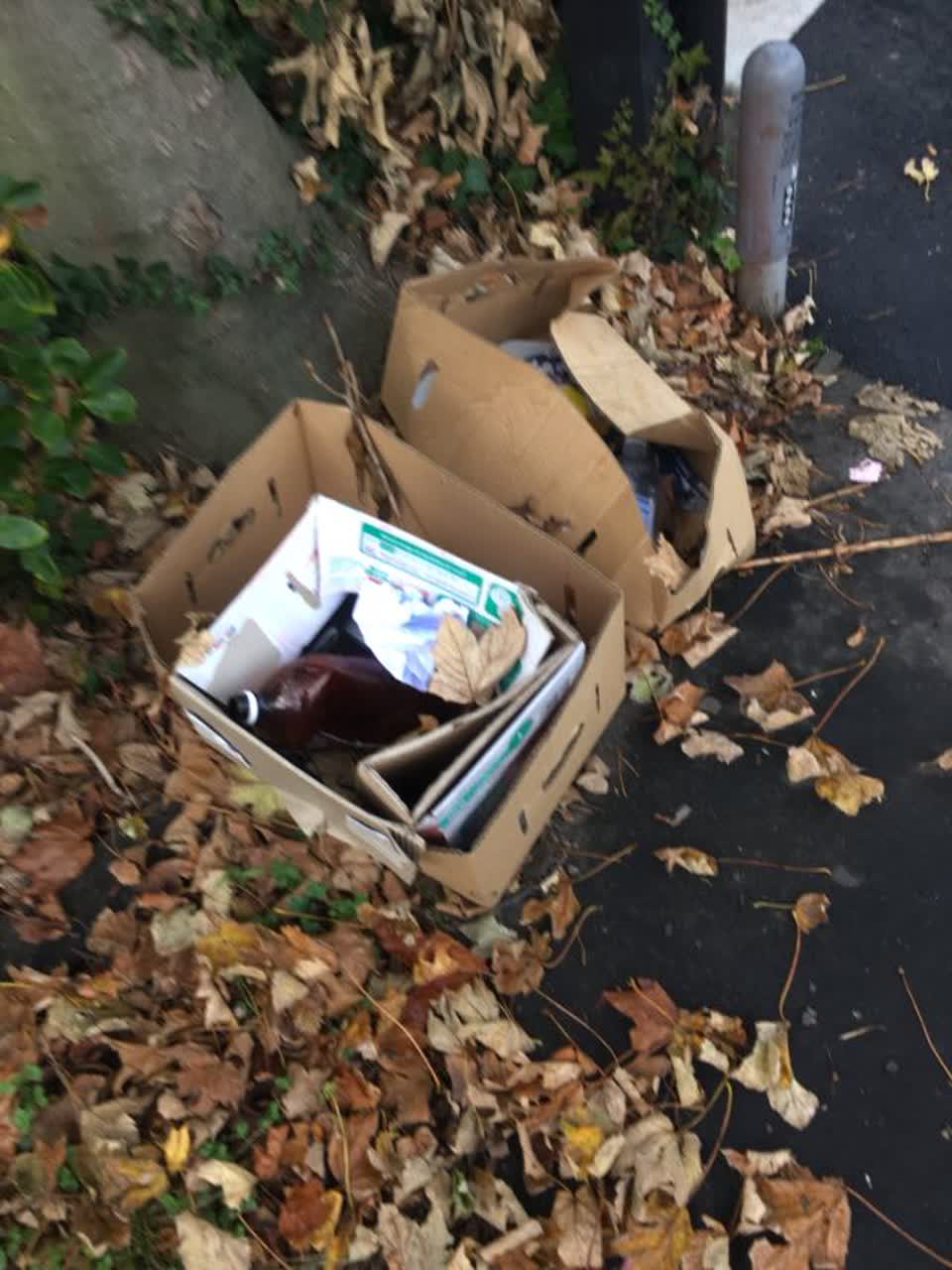 The photograph attached to this rubbish/recycling report