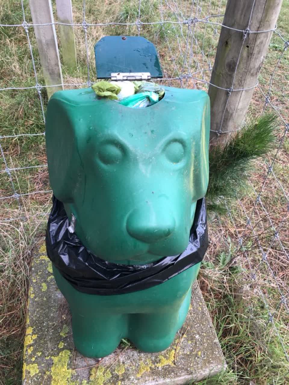 The photograph attached to this parks report