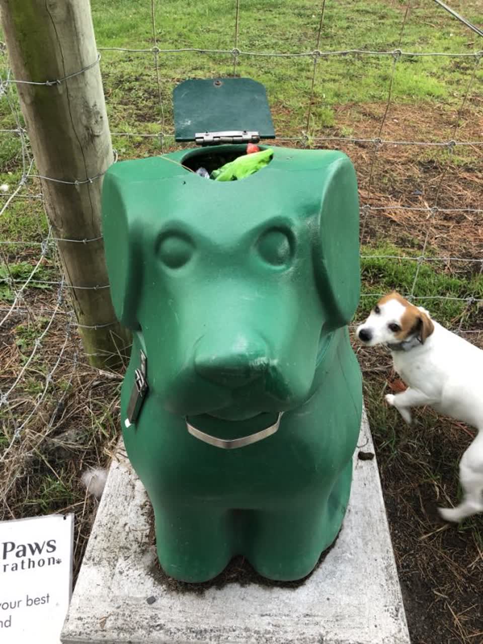 The photograph attached to this parks report