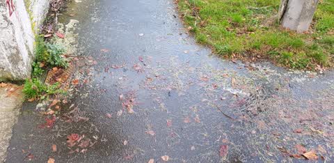 Wastewater/Stormwater, a report photo