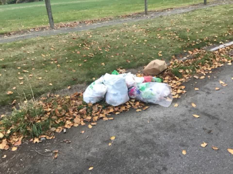 The photograph attached to this rubbish/recycling report