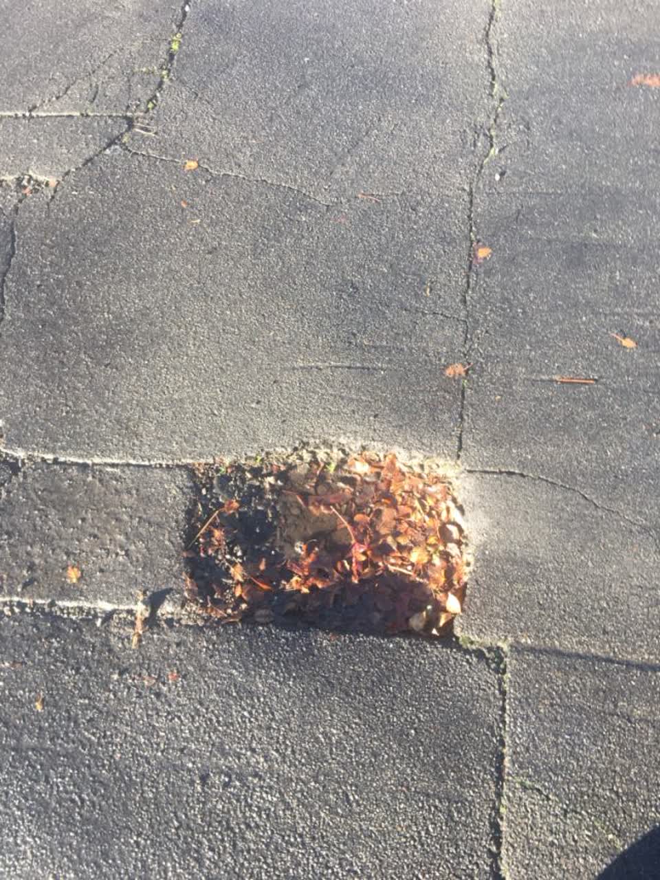 The photograph attached to this roading/streets report