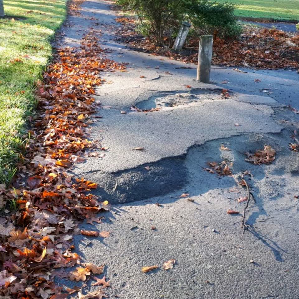 The photograph attached to this parks report