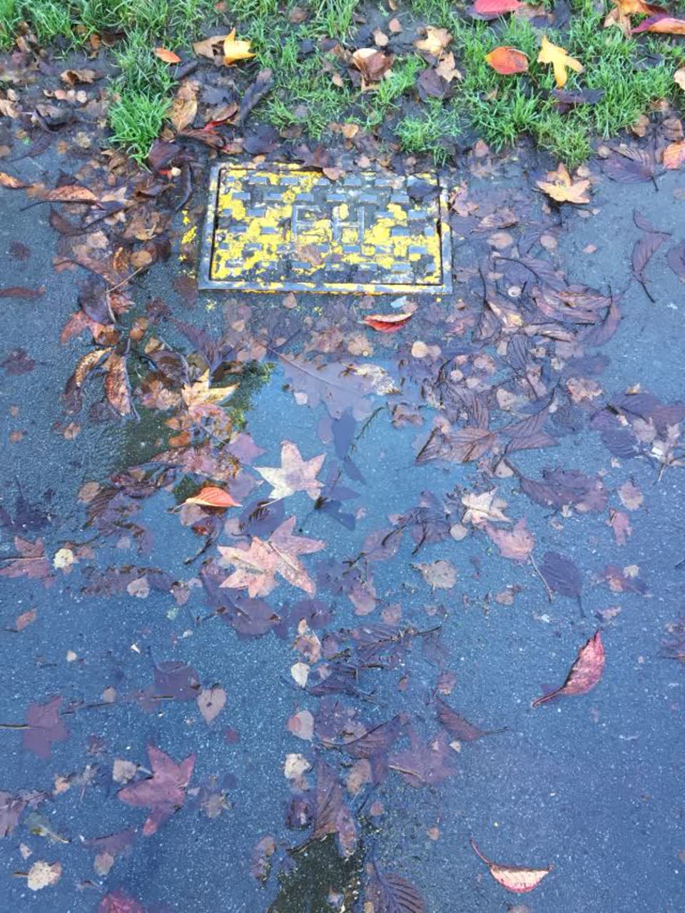 The photograph attached to this water supply report