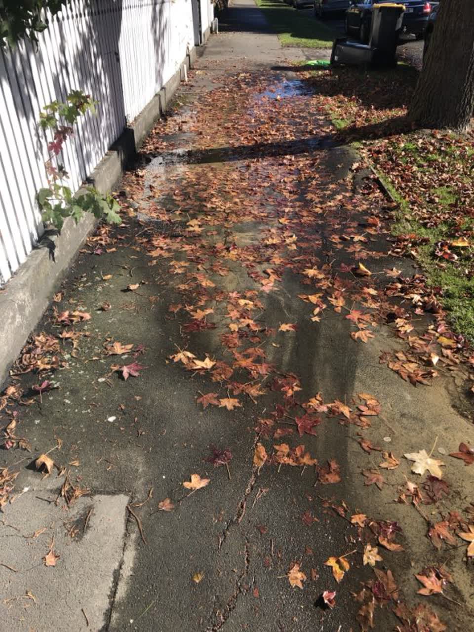 The photograph attached to this water supply report