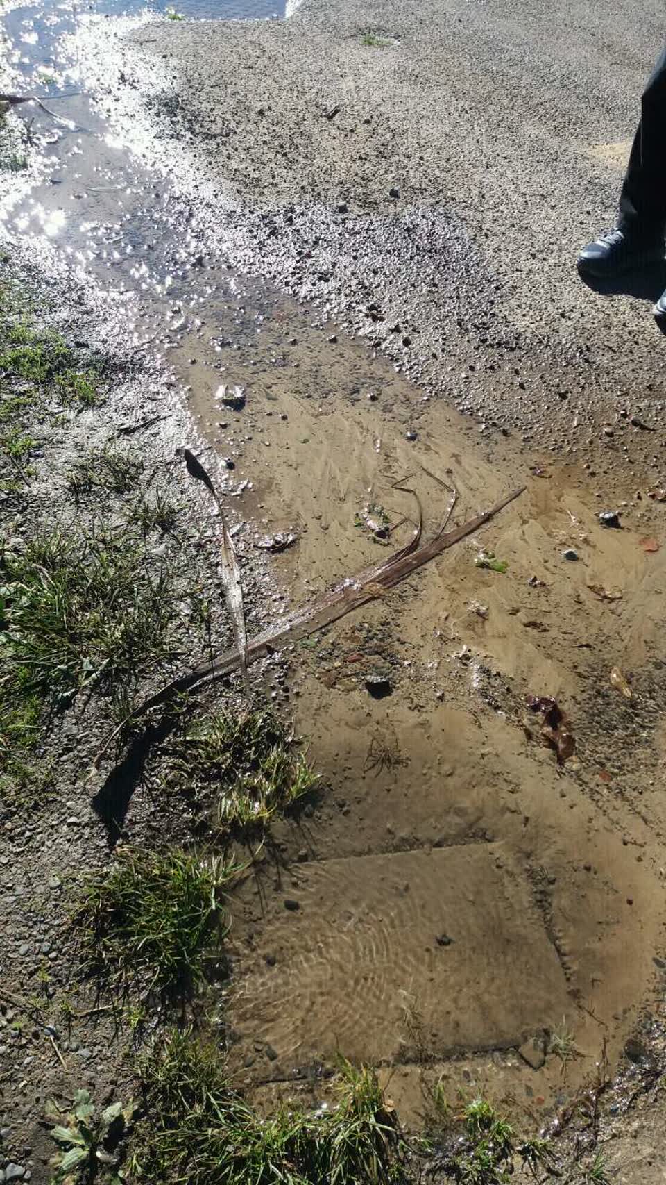 The photograph attached to this wastewater/stormwater report