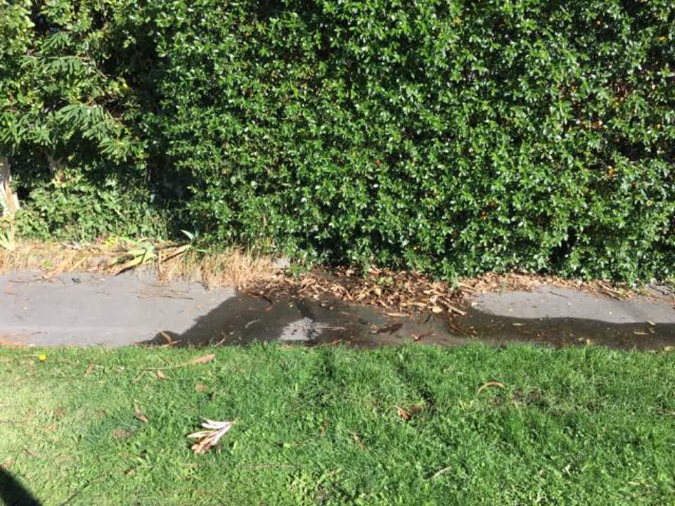 The photograph attached to this water supply report