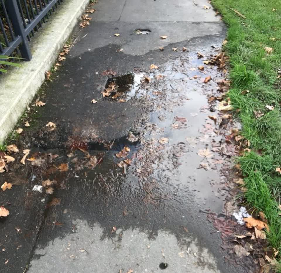 The photograph attached to this water supply report
