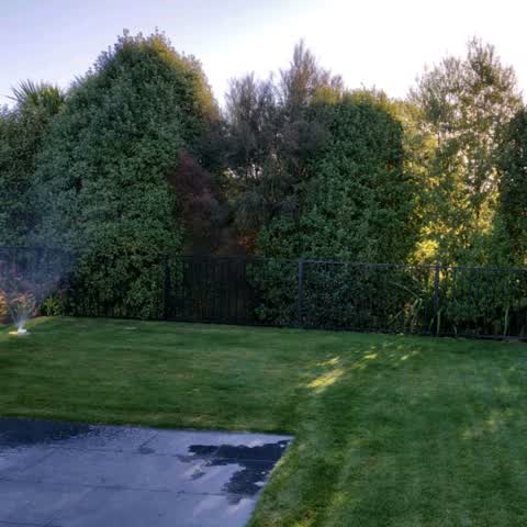 Parks, a report photo