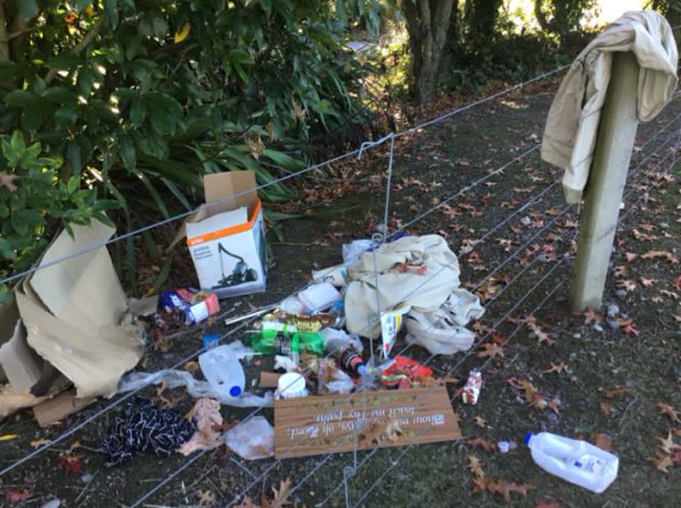 The photograph attached to this rubbish/recycling report