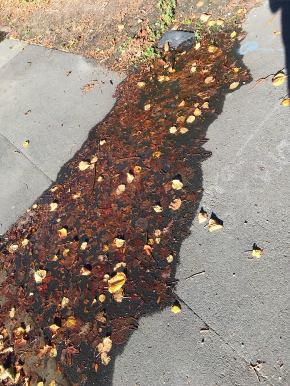 The photograph attached to this roading/streets report
