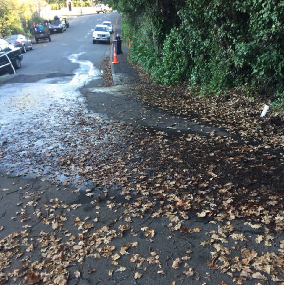 The photograph attached to this wastewater/stormwater report
