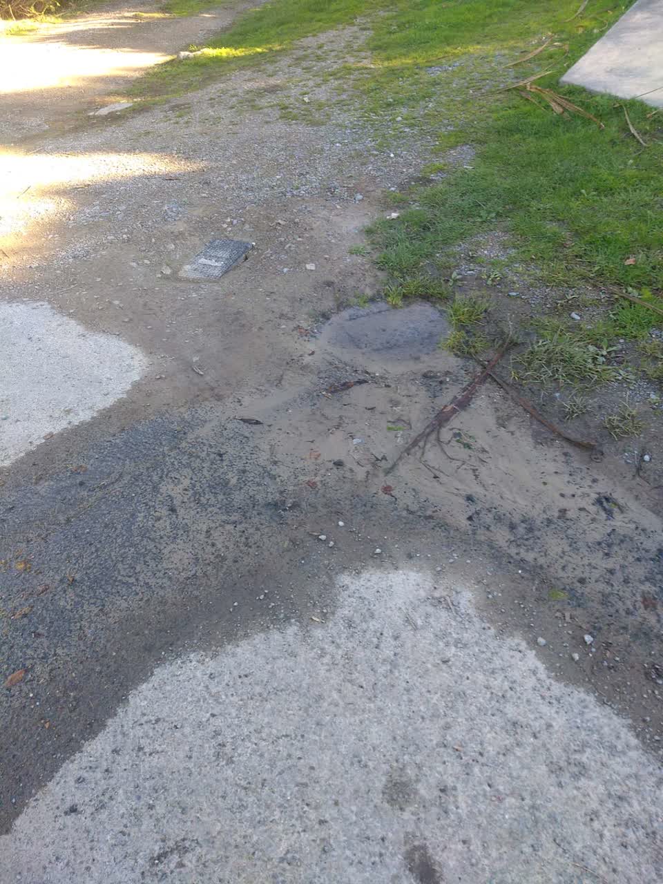 The photograph attached to this water supply report