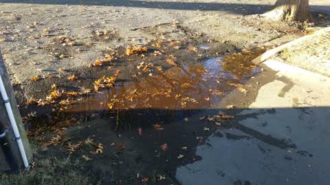 Flooding, a report photo