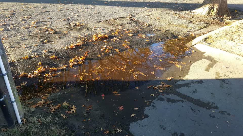 The photograph attached to this flooding report