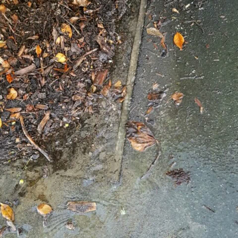 The photograph attached to this water supply report