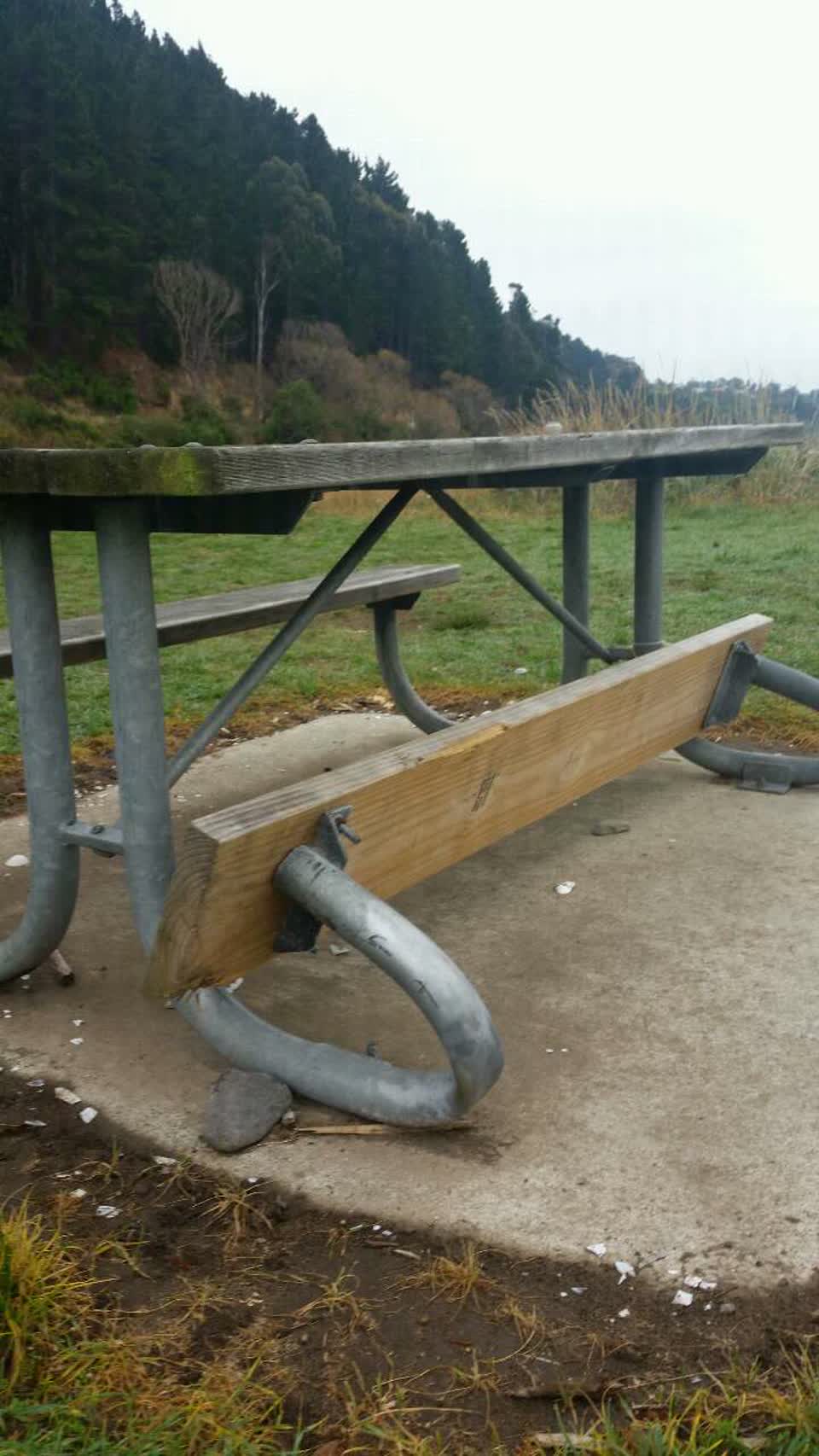 The photograph attached to this parks report