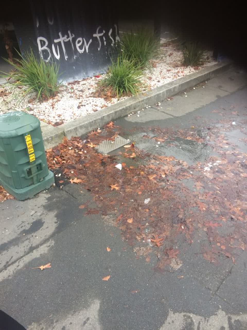 The photograph attached to this flooding report