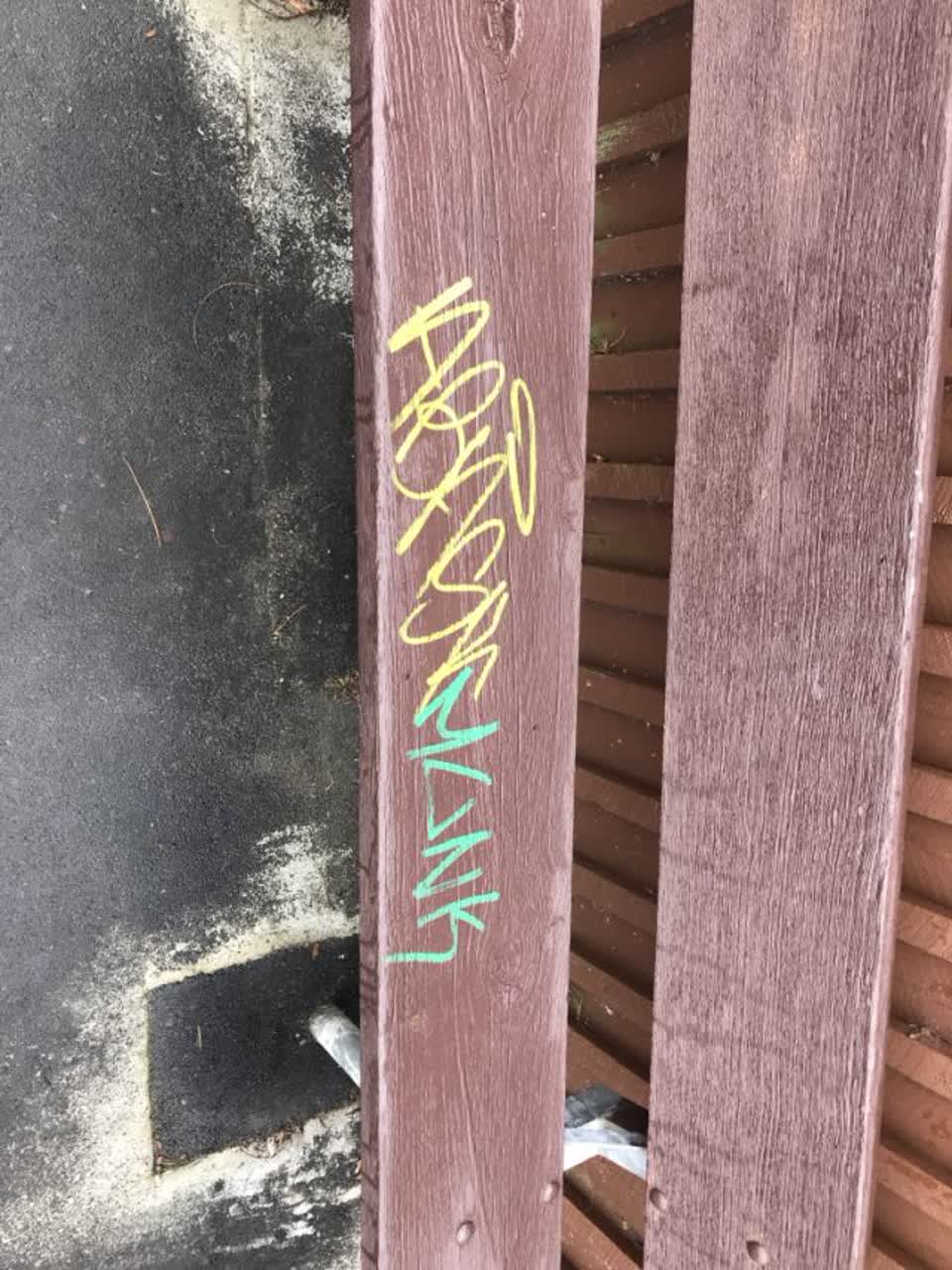 The photograph attached to this graffiti report