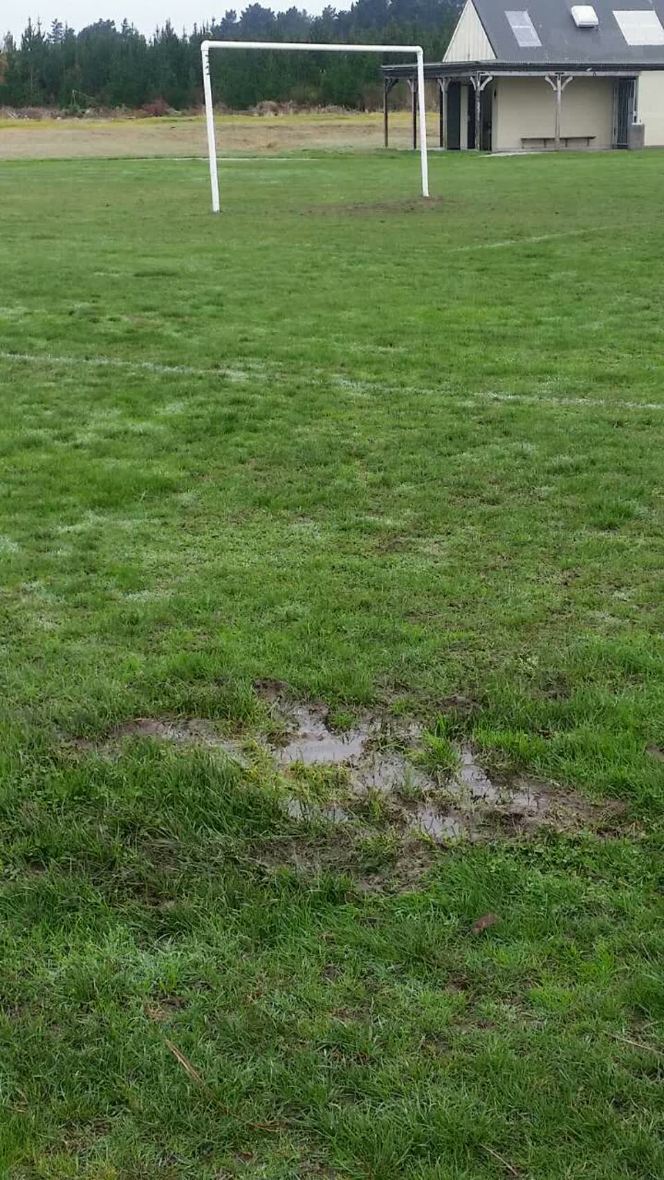 The photograph attached to this parks report