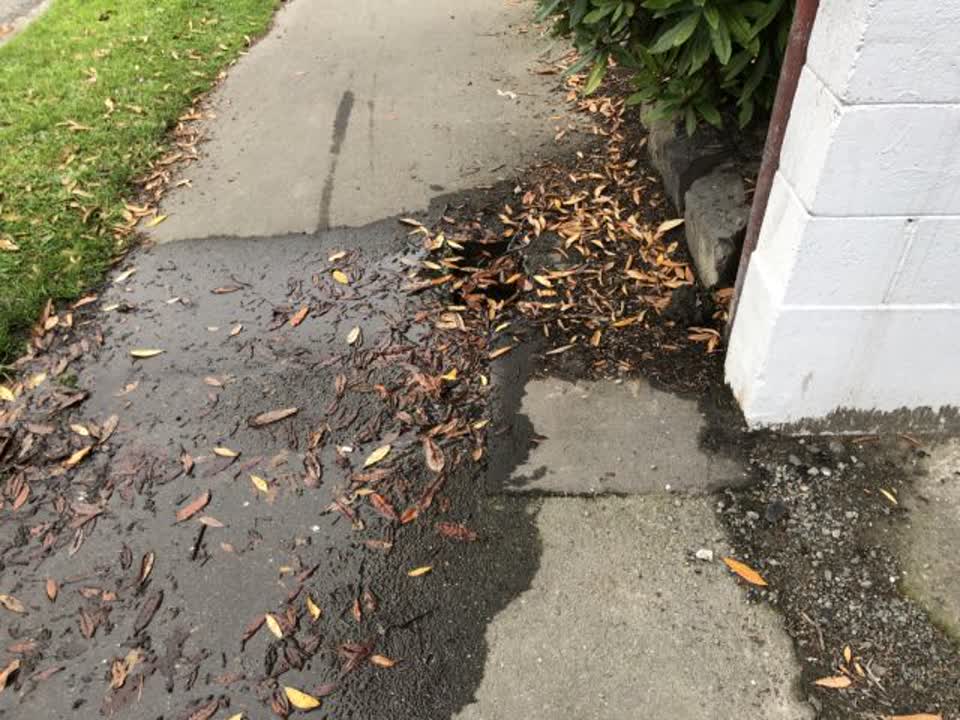 The photograph attached to this water supply report