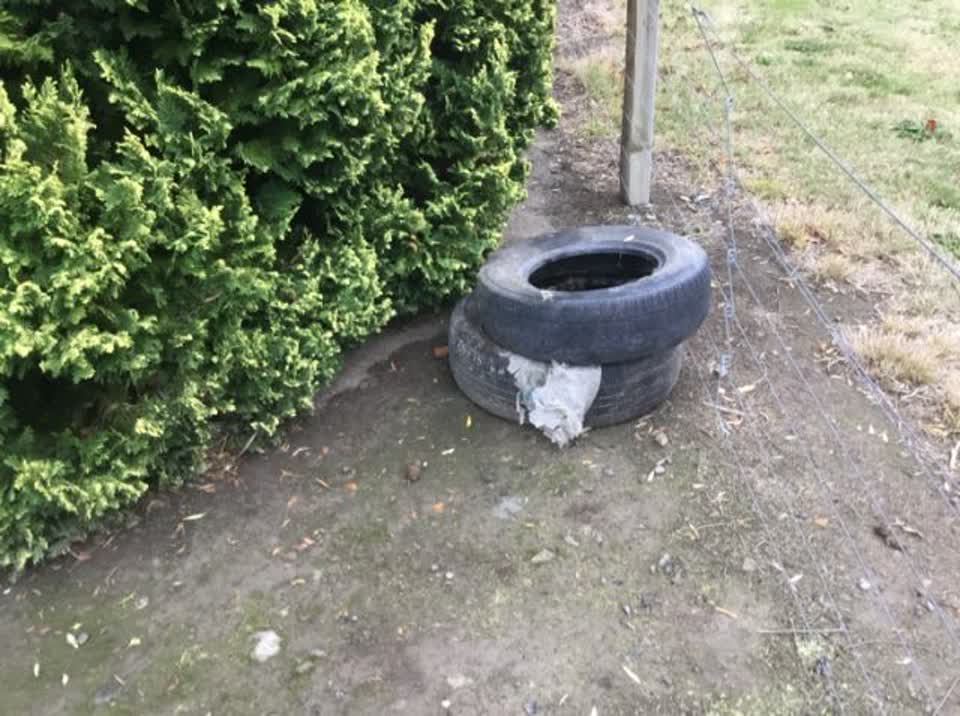The photograph attached to this rubbish/recycling report