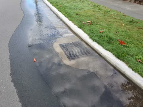 Water Supply, a report photo