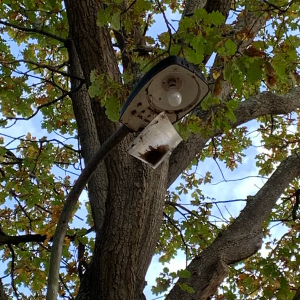 The photograph attached to this parks report