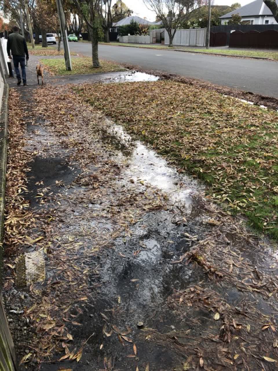 The photograph attached to this water supply report