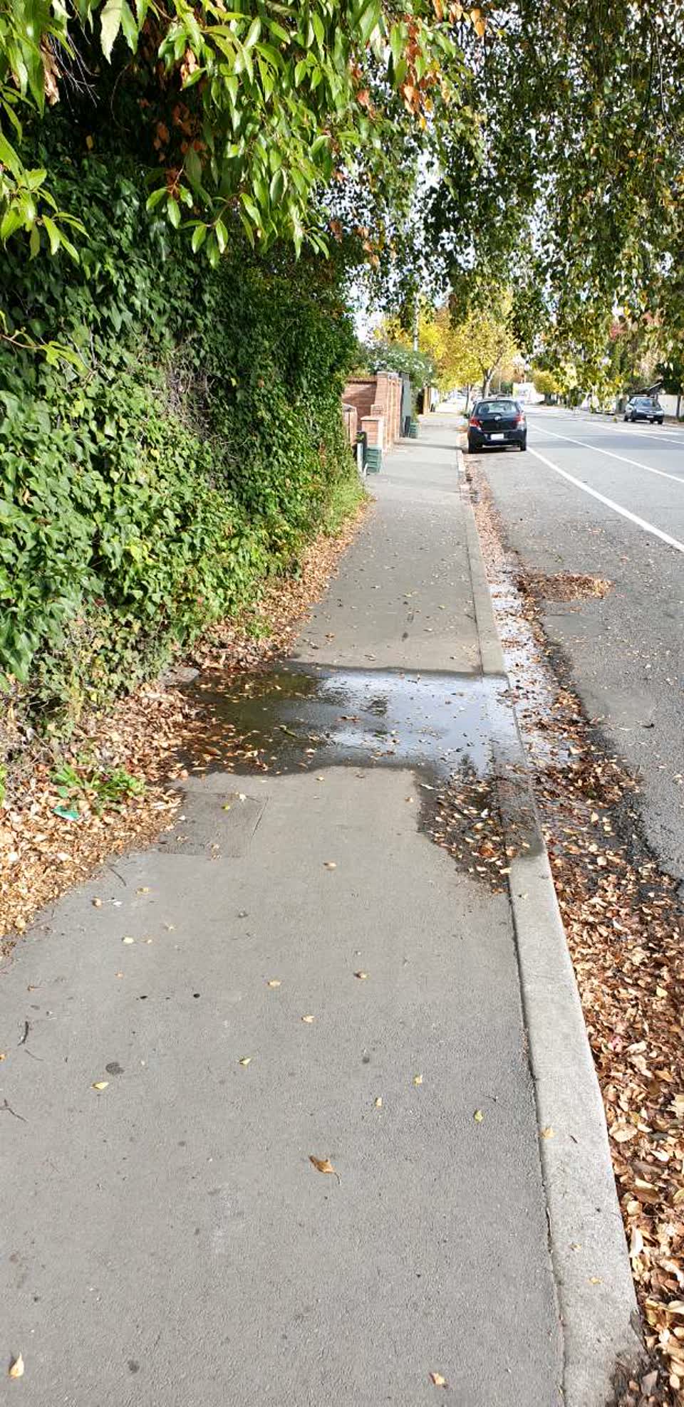 The photograph attached to this water supply report