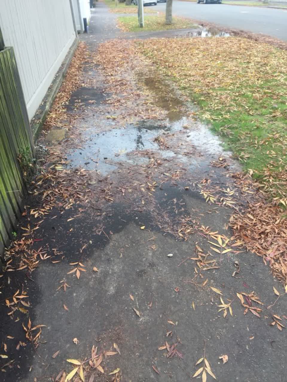 The photograph attached to this water supply report