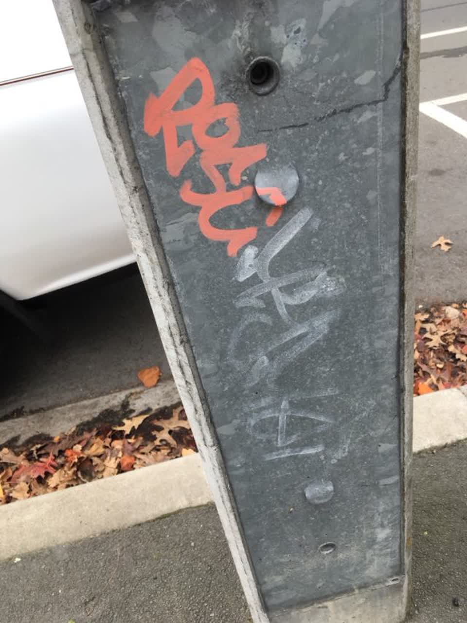 The photograph attached to this graffiti report