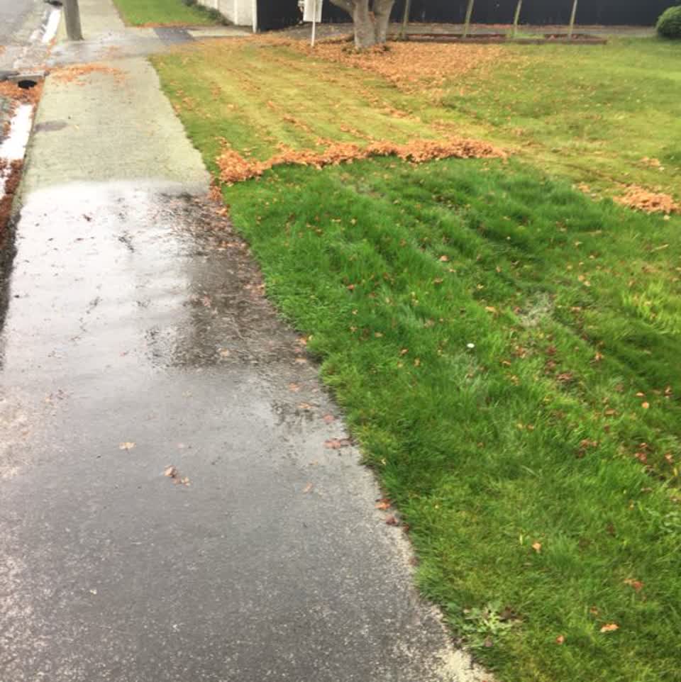 The photograph attached to this water supply report