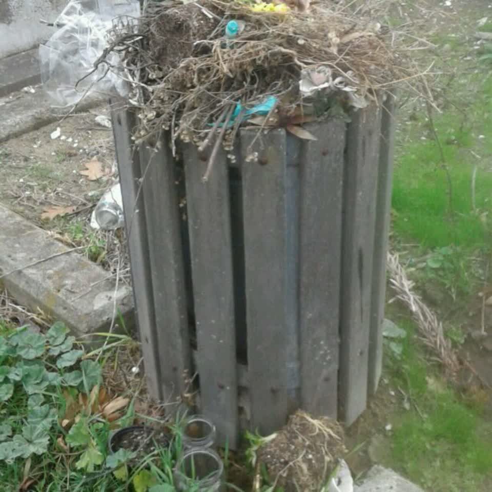 The photograph attached to this rubbish/recycling report