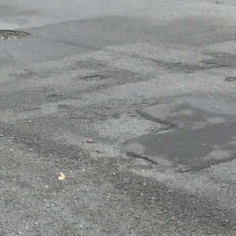 Roading/Streets, a report photo
