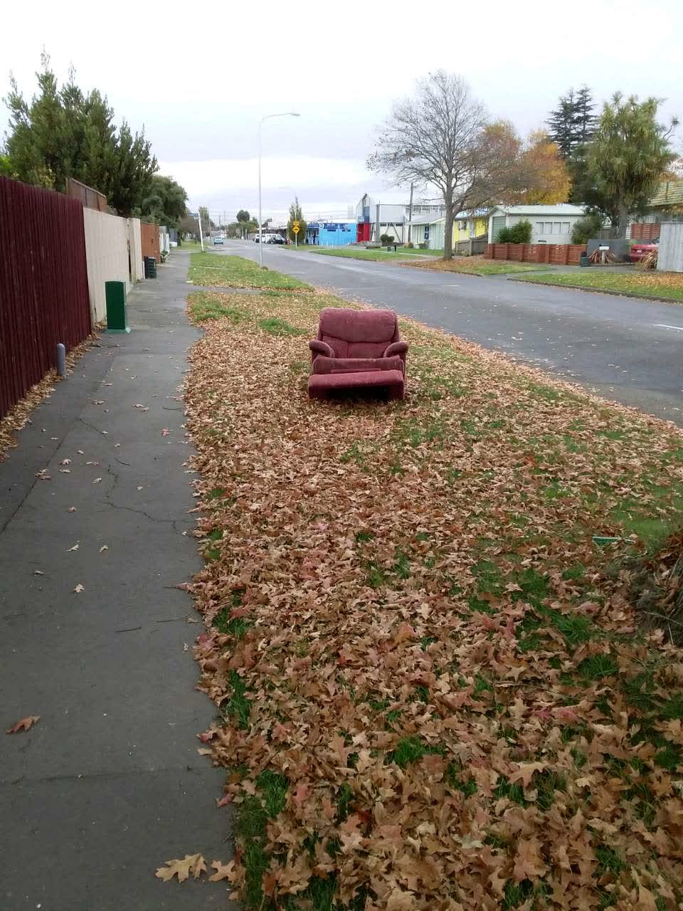The photograph attached to this rubbish/recycling report