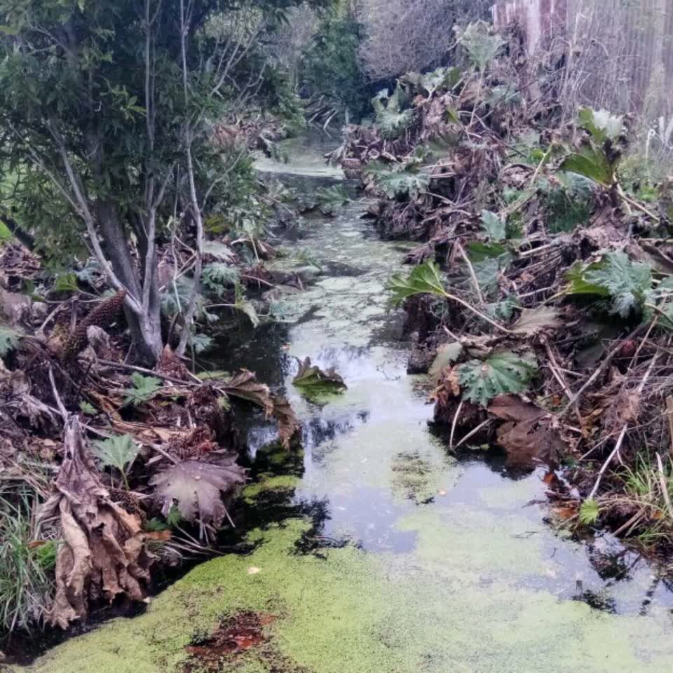 The photograph attached to this flooding report
