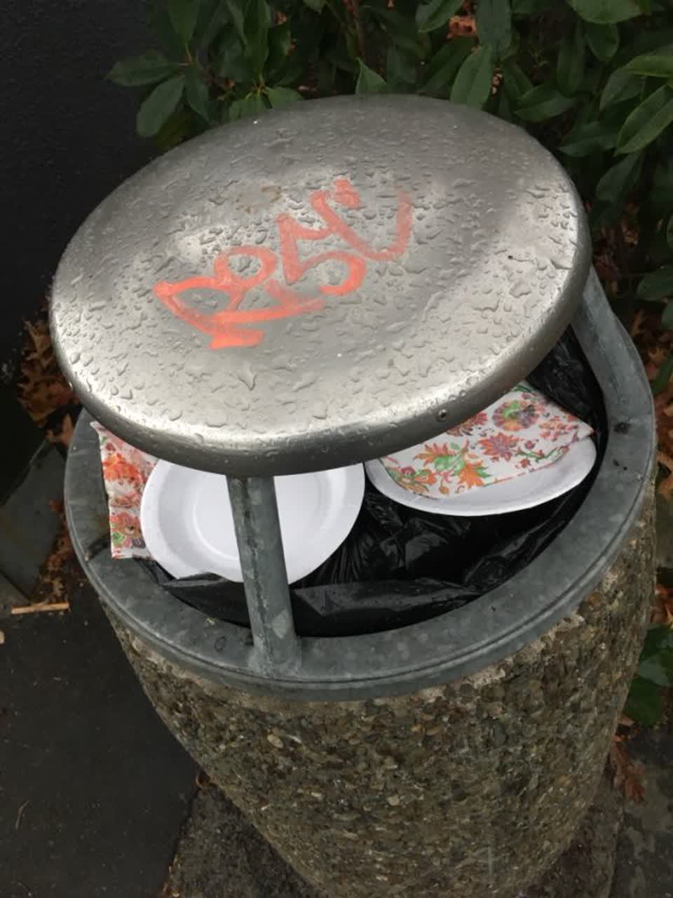 The photograph attached to this graffiti report