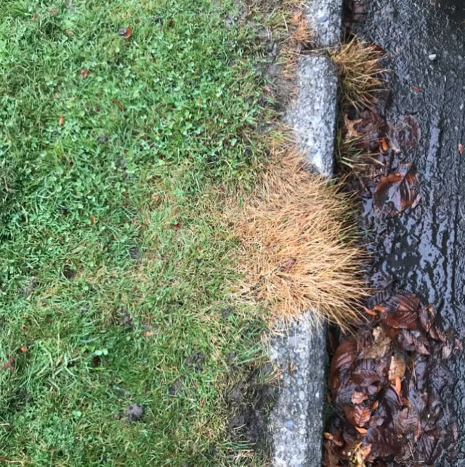 The photograph attached to this wastewater/stormwater report