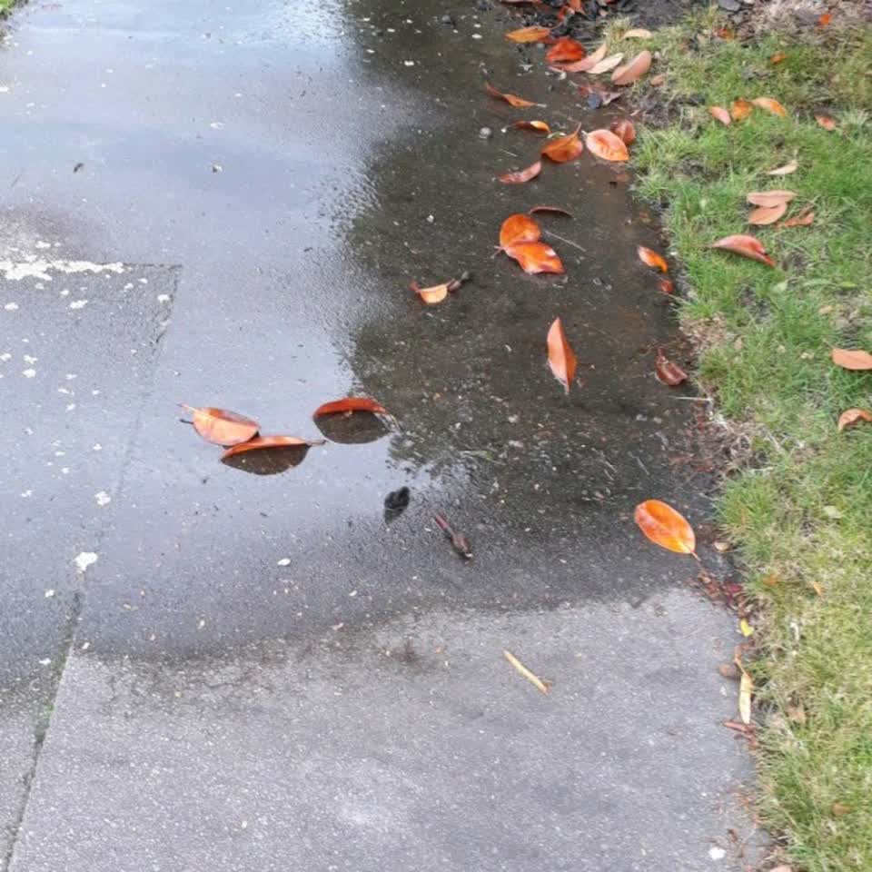 The photograph attached to this water supply report
